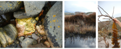 Pictures from the Vinga-island, Front image for the blogpost.