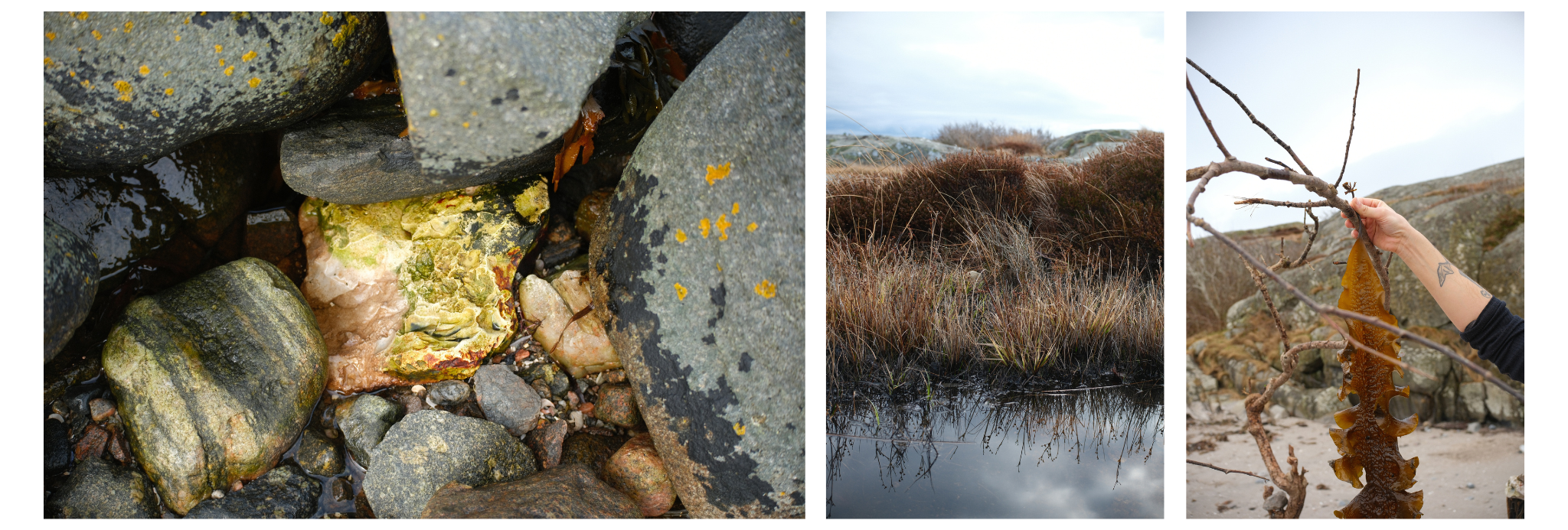 Pictures from the Vinga-island, Front image for the blogpost.